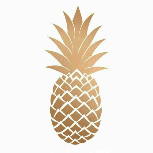 Twelve Months of Sunshine supplier My Island Tree Logo