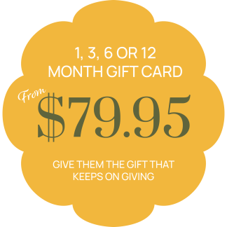 Twelve Months of Sunshine Gift Certificate Graphic for Website
